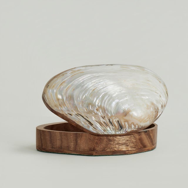 Vintage Seashell Box For Sale In West Palm - Image 6 of 11