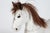 Large Antique Swedish Horse in Carved Wood with White Paint, 1890s For Sale - Image 3 of 11