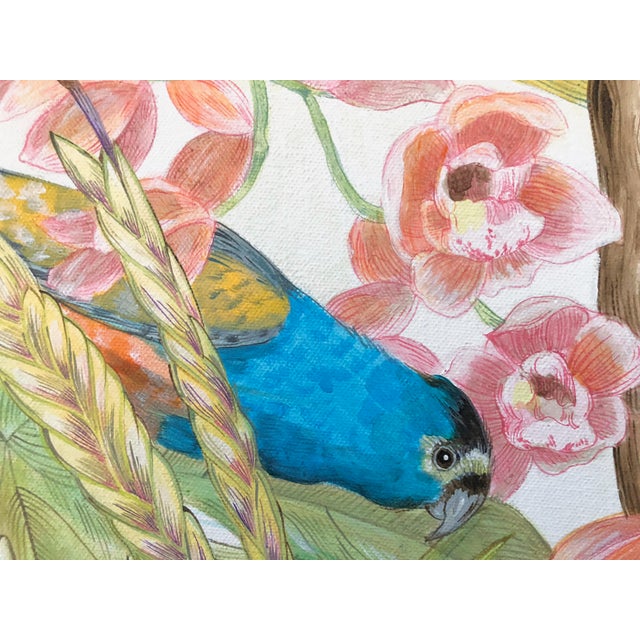 A pair of endangered Golden Shouldered Parrots of Australia are framed perfectly with a curved palm leaf and cascading...