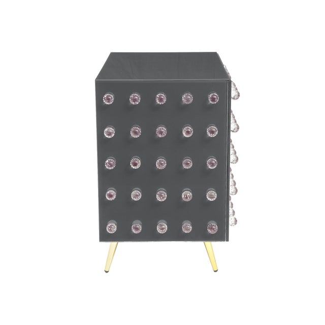 Gray Modern Glass 2 Door Cabinet With 90 Jewelry Made in Italy For Sale - Image 4 of 4