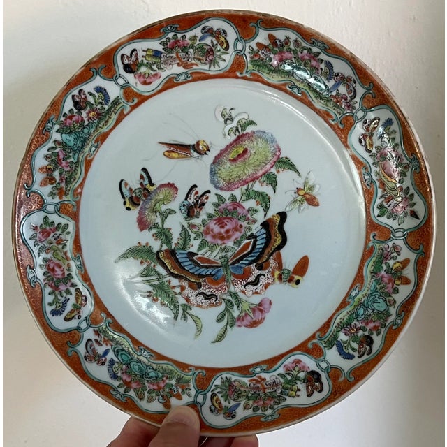 Antique Early 19th Century Chinese Export Porcelain Plate With Rose Medallion Decoration of Butterflies and Insects For Sale - Image 9 of 10