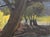 Jerry Greenberg "Open Landscape" Contemporary Realistic East Texas Nature Landscape Painting, 2017 For Sale - Image 11 of 11