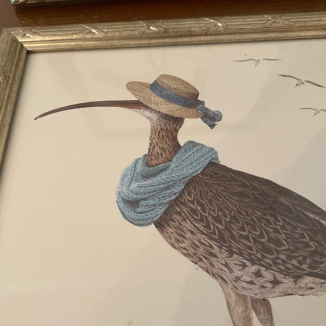 Early 21st Century Whimsical Bird Prints in Silver Frame ~ a Pair For Sale - Image 9 of 11