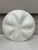 19th Century Majolica Oyster Plate S. Fielding and Co For Sale In Austin - Image 6 of 6