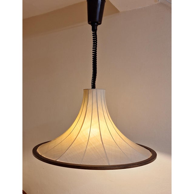 Vintage Height-Adjustable Hanging Lamp from Temde, 1970s For Sale - Image 9 of 9