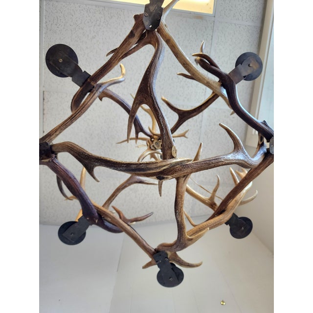 Metal Antique Elk Antler Chandelier For Sale - Image 7 of 13