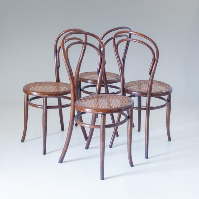 Antique Bentwood and Cane Dining Chairs by Josef Hoffmann, 1900s, Set of 4 For Sale - Image 16 of 16