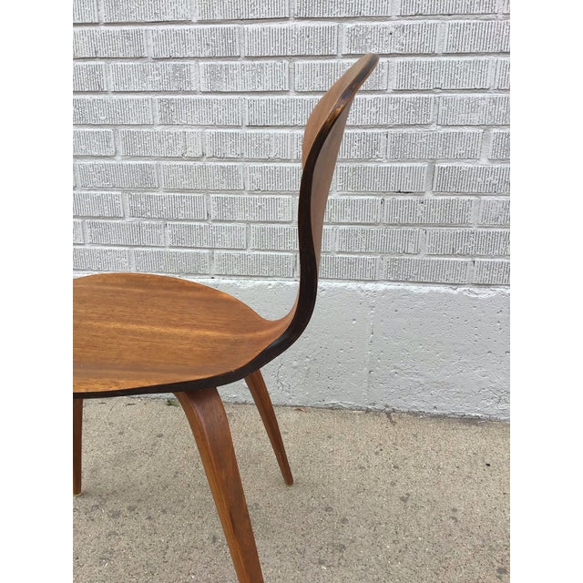 1950s Mid-Century Modern Bentwood Chair, Attributed to Norman Cherner For Sale In Denver - Image 6 of 10