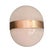 Clio Wall Sconce by Sergio Mazza for Artemide, Italy, 1963 For Sale