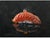 This is an original oil painting of salmon nigiri sushi. a popular subject for food art or as kitchen decor. Artist...
