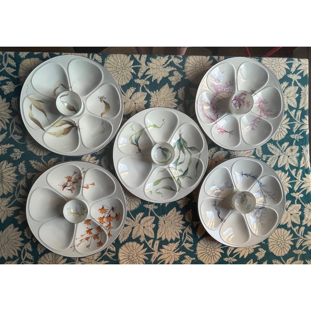 French Porcelain Limoges Oyster Shell Plates with Seaweeds, 1930s, Set of 5 For Sale - Image 11 of 11