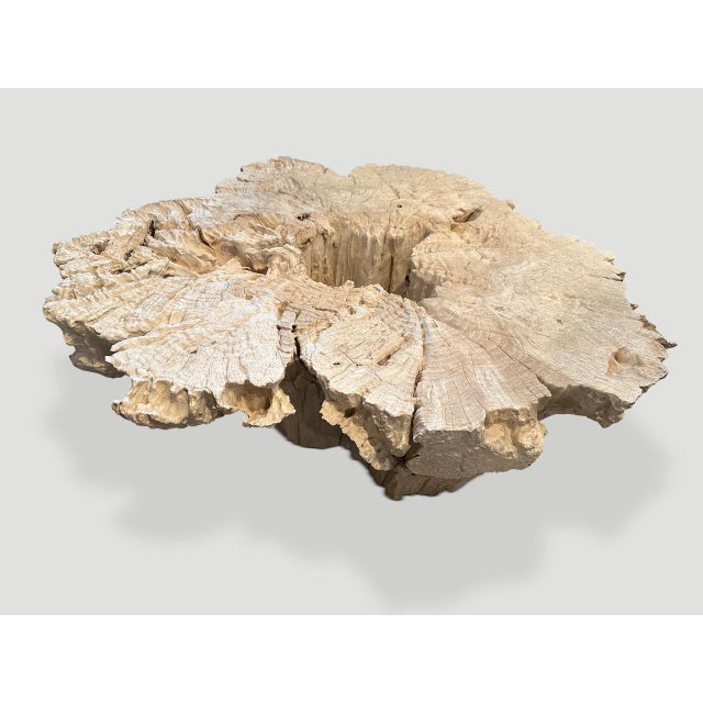 Contemporary Andrianna Shamaris Century Old Erosion Teak Wood Coffee Table For Sale - Image 3 of 6