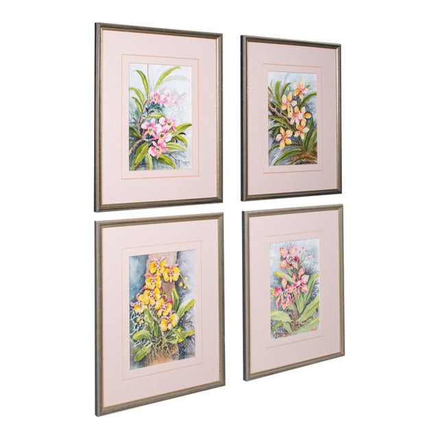 Set of 4 Vintage Botanical Watercolour Pictures, Malaysian Art, Orchids, Framed For Sale