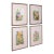 Set of 4 Vintage Botanical Watercolour Pictures, Malaysian Art, Orchids, Framed For Sale