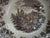 A 19th C brown transfer ware pearlware shallow bowl in the Tyrolean pattern. It was made by William Ridgeway & Co. between...