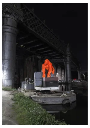 Liam Hopkins, Castlefield Gorilla, Photographic Print