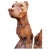 Dog Statues, Early 20th Century, Terracotta, Set of 2 For Sale - Image 4 of 8