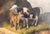 19th Century English or Continental Painting of Cow and Calf in Highlands For Sale In New York - Image 6 of 17