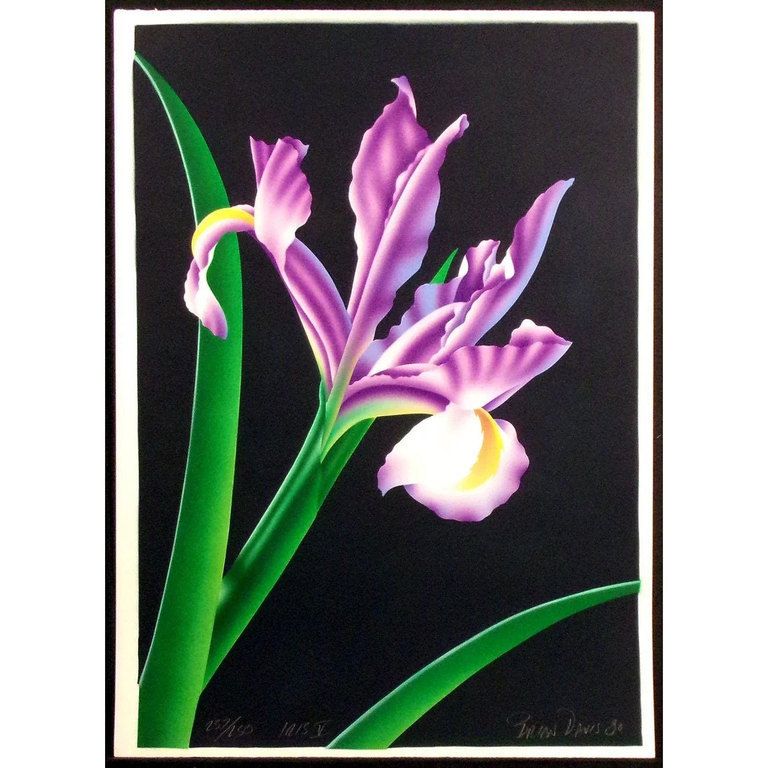 Brian Davis "Iris V" Hand Signed Original Limited Edition Art Floral