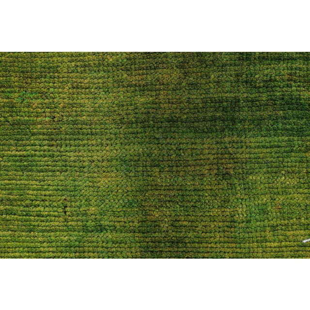 Early 20th Century Arts and Crafts Rug Doris Leslie Blau For Sale - Image 5 of 8