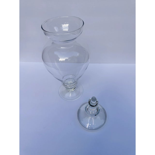2000s Tall Glass Apothecary Jar & Lid For Sale - Image 4 of 10
