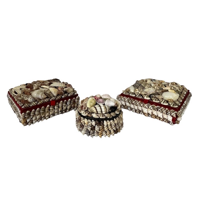 Set of 3 mid century seashell boxes, 2 - 4.5” square x 2” h, 1 - 3” diameter x 2” h. All have felt lining on the inside....