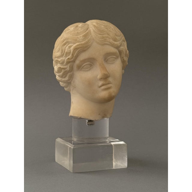 18th-century statuary marble head depicting Artemis, Greek goddess of the hunt, the moon, and the wild. The goddess is...