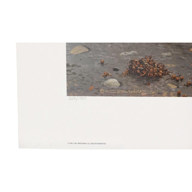 Carl Brenders "Shoreline Quartet - White Ibis" Signed Limited Edition Print, 1990 For Sale In Denver - Image 6 of 11