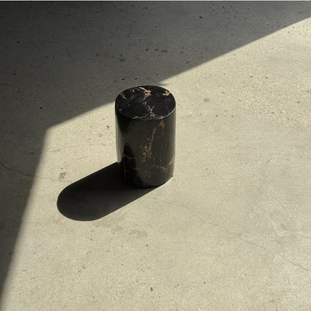 Small Side Table in Black Petrified Wood with Striates and Beige Lower Side For Sale - Image 9 of 18