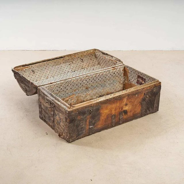 Trunk with Wild Boar Leather For Sale - Image 4 of 10