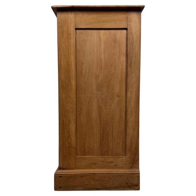 20th Century Rustic English Satinwood Chest of Drawers For Sale - Image 10 of 12