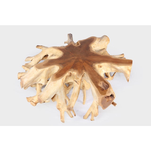 Round 36" Inch Organic Teak Root Coffee Table 28 For Sale - Image 4 of 6