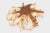 Round 36" Inch Organic Teak Root Coffee Table 28 For Sale - Image 4 of 6