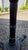 Late 20th Century Neoclassical Revival Cast-Iron Tripod Table Base For Sale - Image 11 of 17