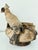 1900 - 1909 Art Nouveau Terracotta Cockatoo-Bowl by Johann Maresch/Austria Early 20th Century For Sale - Image 5 of 12