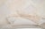 Ivory Textured Organic Hand-Knotted Wool Rug | 9'10" X 6'9" | One of a Kind For Sale - Image 8 of 8