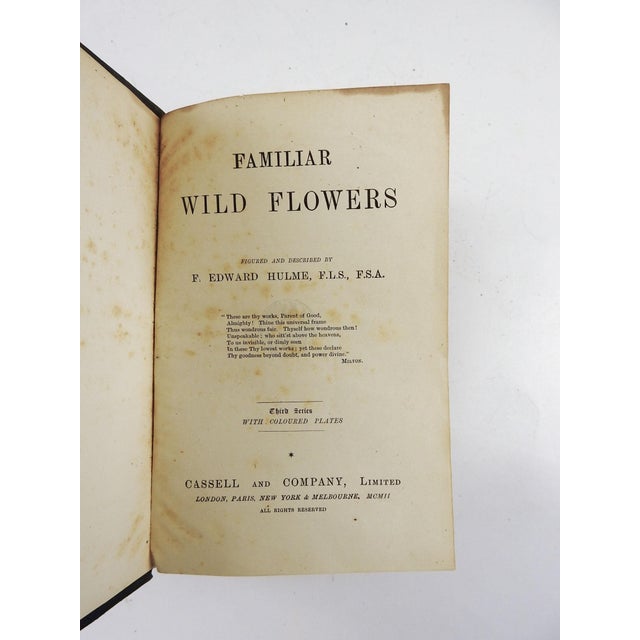 1902-familiar-wild-flowers-1902-2-volumes-chairish
