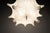 Taraxacum Pendant Light by Achille and Pier Giacomo Castiglioni, 1960s For Sale - Image 11 of 12