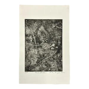 Stephen Raul Anaya - Moss Garden, Signed (1974, Etching)