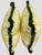 Textile Clark & Clark Citrus and Green Brush Fringe Custom Made Pillow Pair For Sale - Image 7 of 9