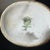 1920s Noritake Hand Painted Sunset Landscape Coffee / Chocolate Set - 5 Pieces For Sale - Image 9 of 10