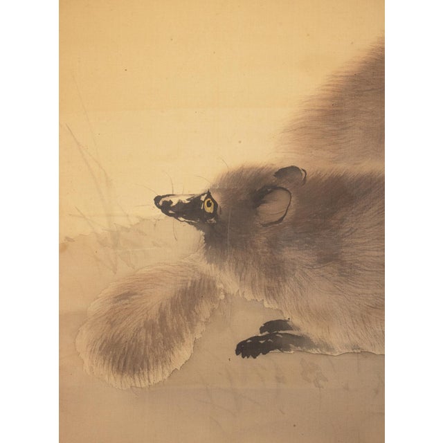 Early 20th Century "Raccoons Under the Moon" by Mochizuki Seiho, Miji Japanese Silk Scroll Painting For Sale - Image 5 of 18