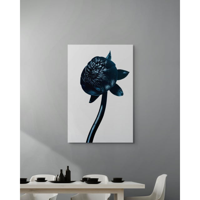 Exclusively available in the U.S. through ART AT HOME, Dahlia Bud by Sivan Roshianu presents a focused study of form,...