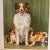 1940s color book illustration by Diana Thorne of a collie dog and her puppies. Ready for matting and framing.