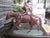 Bronze Race Horse and Jockey 22.5 X 24" Sculpture on Green Bronze Base For Sale - Image 4 of 4