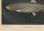 Title: Scandinavian Herring and Shad: Exquisite Lithograph from Pisces Scandinaviae : This stunning lithograph from the...