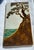 Ceramic 1990s Arts & Crafts Mission Style Studio Ceramic Tile – Coastal Cypress Tree Styled After Motawi For Sale - Image 7 of 7