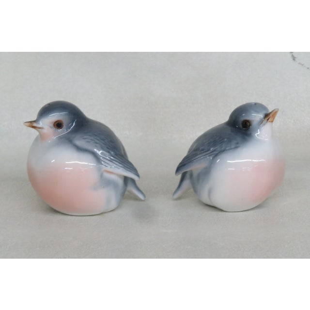 Late 20th Century Vintage Bone China Baby Bird Salt and Pepper Shakers Set 4500b For Sale - Image 5 of 9