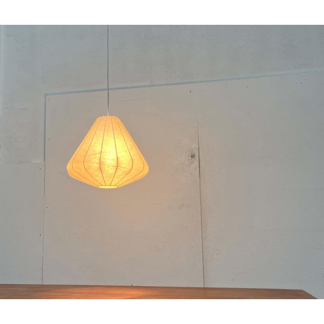 Mid-Century Modern Cocoon Pendant Lamp by Friedel Wauer for Goldkant Leuchten, Germany, 1960s For Sale - Image 11 of 18