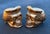 2000 - 2009 Vintage Artisan Made Folklore Skull Chairs - A Pair For Sale - Image 5 of 11